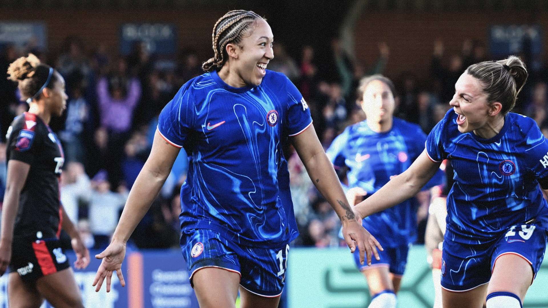 数球迷的心 数球迷的心